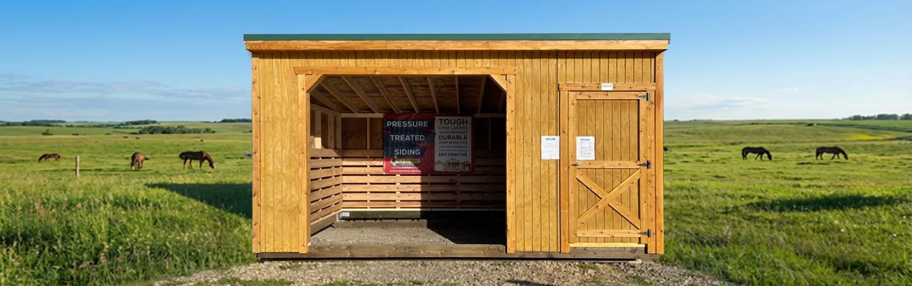 Single Slope shed animal shelter with stained walls